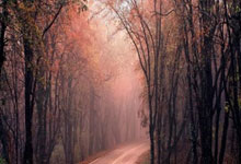 海星体育：[CBA]徐昕准绝杀 广东男篮六连胜.