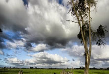 1亿转会费加盟恒大，加入中国籍后，他为何代表国足0出战？.