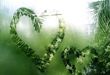 NBA未来5年最强的5位球员,3老退出江湖双枪难接班,第一人难预料.